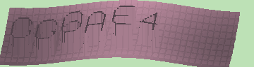 確認代碼