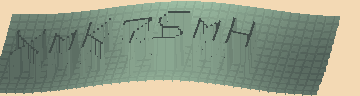 確認代碼